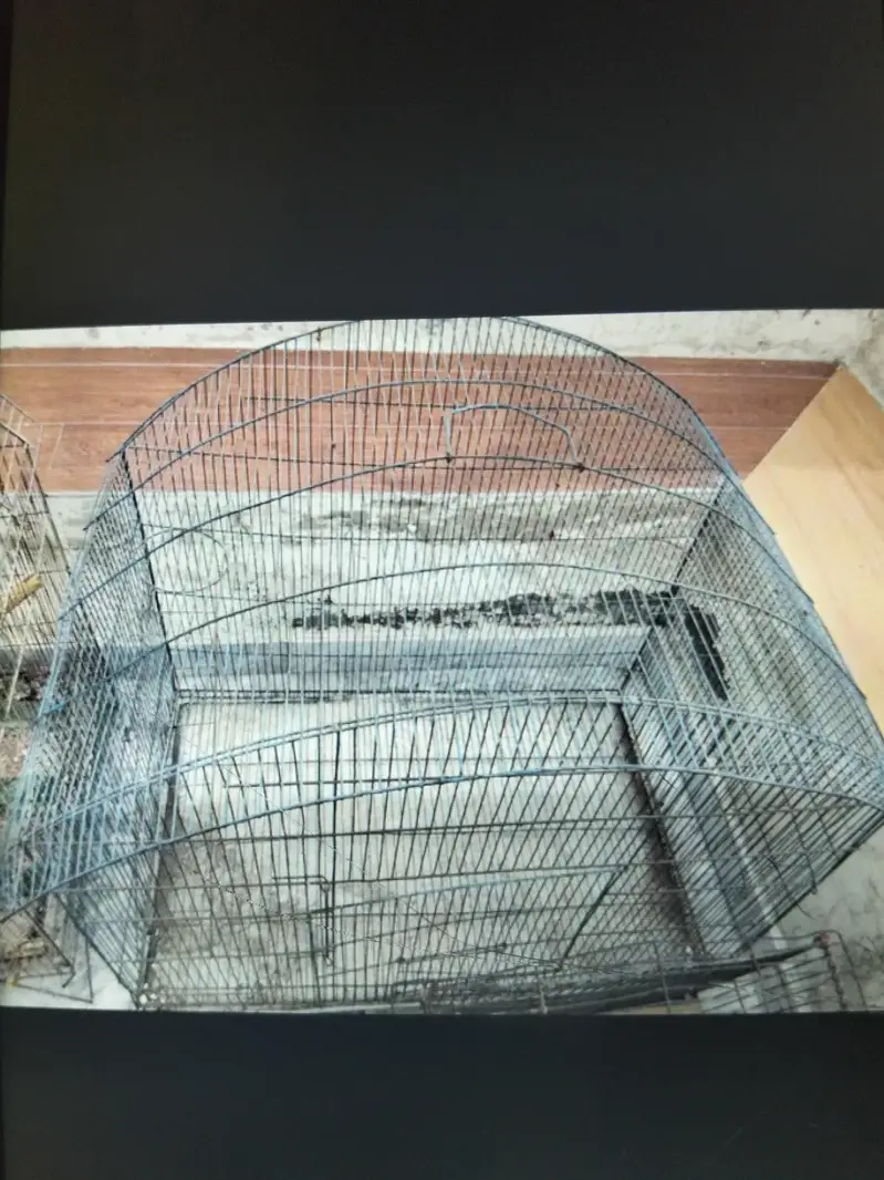 2 cages for birds 30by 30 size — photo 6