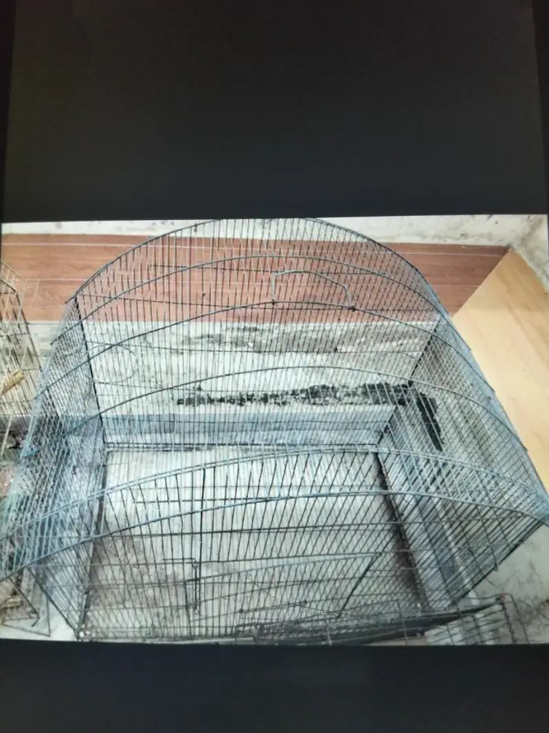 2 cages for birds 30by 30 size — photo 7