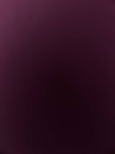 Pure persian triple coat