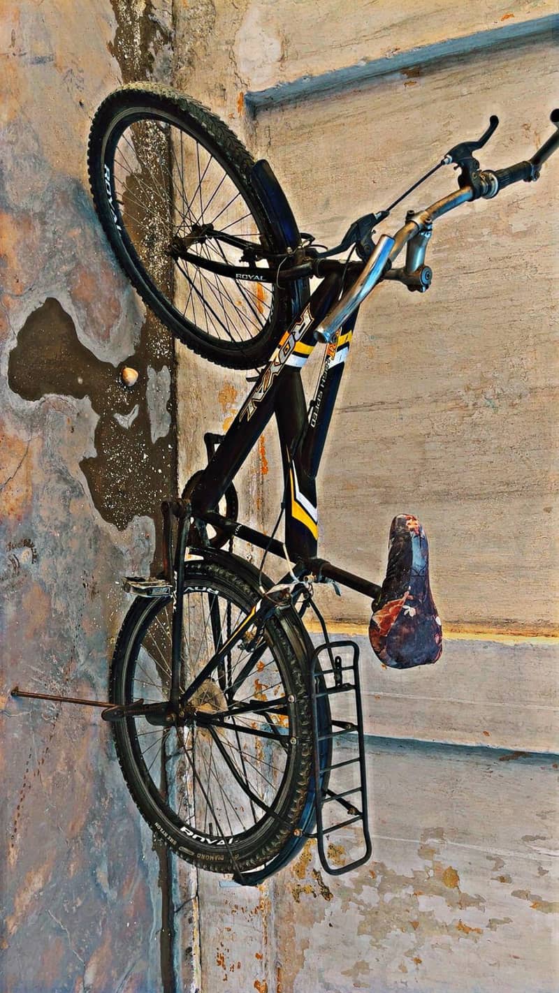 Bicycle 2