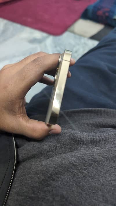 Iphone 13 pro max factory