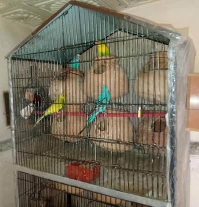 2 portion Cage For sale 4 box option