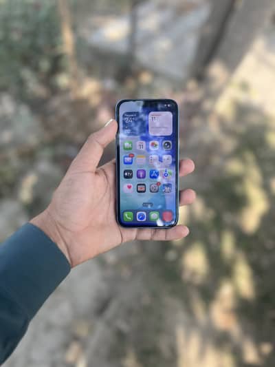 iPhone 13 non pta Jv