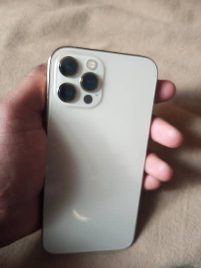 12 Pro Golden PTA APPROVED