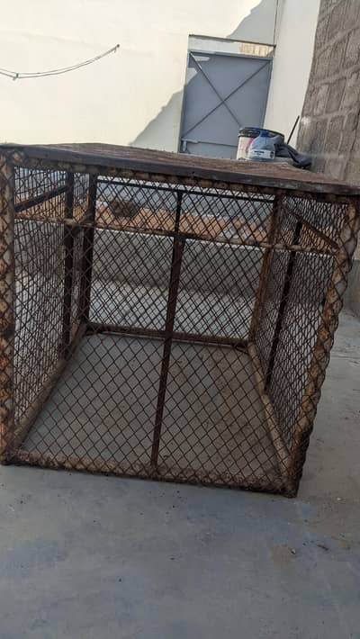 cage for sale 3500