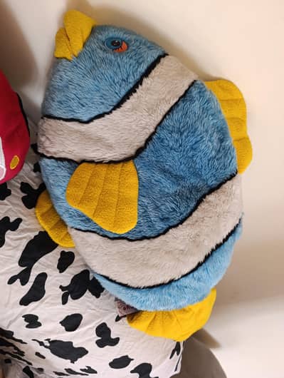 stuff toys (saberian dog ki  pic k liye txt krain pic send hojaegi) . .