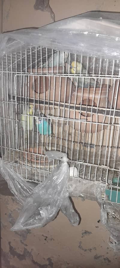 3 pair ha sub na 1 bar bacha nakala hoia ha  urgent sale