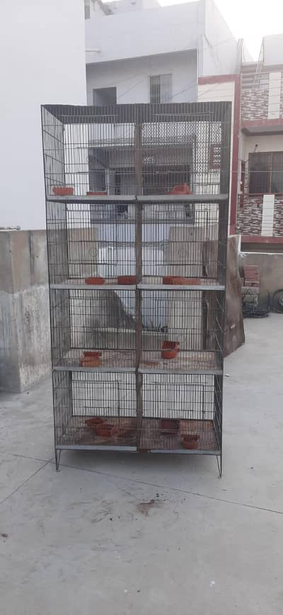 Birds Cage