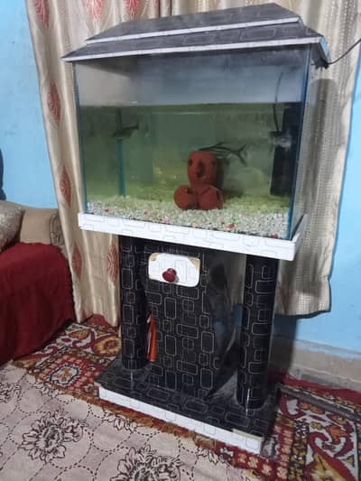 aquarium for sale
