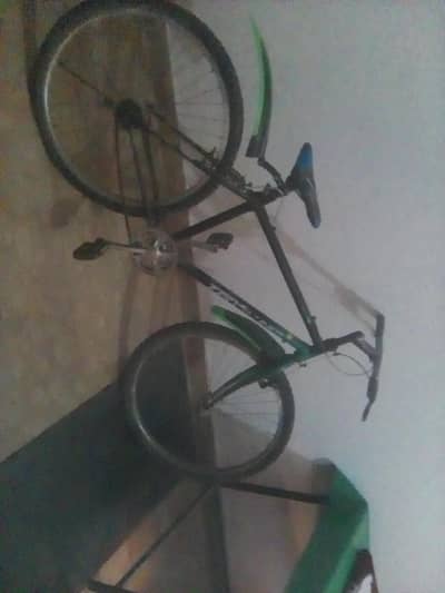 10/9 bicycle full size