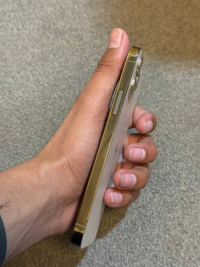 iphone 12 pro PTA approved