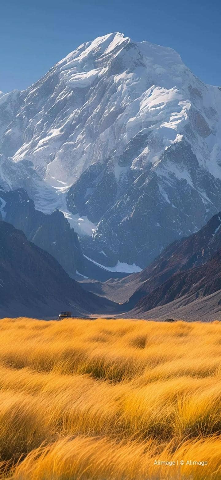 assignment writing work 0