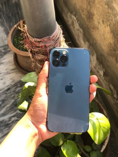 IPhone 12 Pro 6/128 like New  battery 84% health US model.