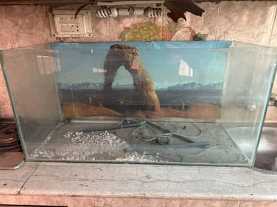 Large Glass Aquarium - Good Condition