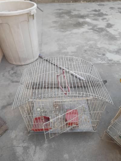 three  parrot      cage