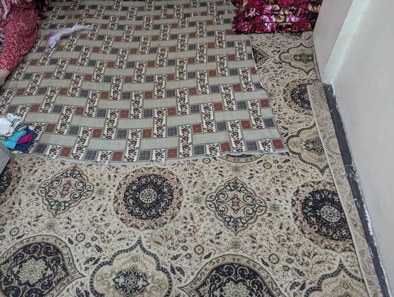 Carpet 1