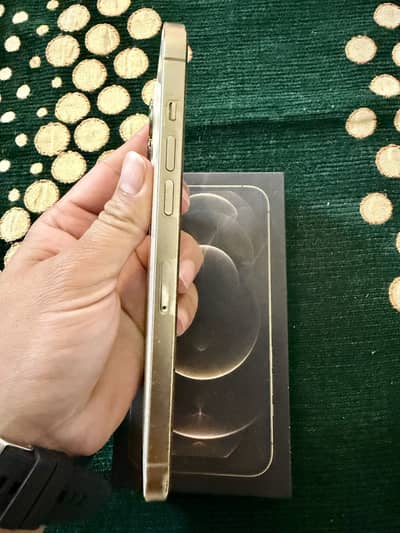 Iphone 12 pro max 256 gb