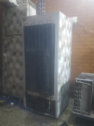 03090543327 what sapp