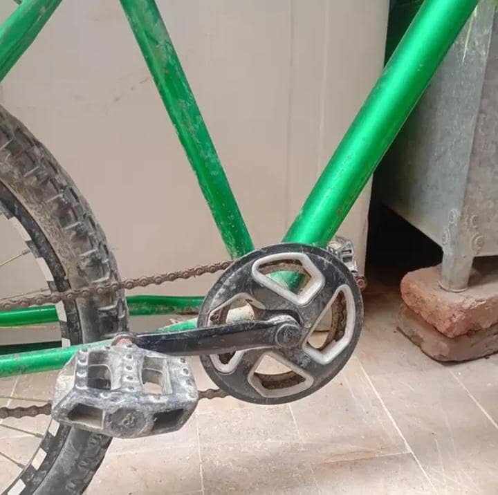 phonex cycle 3