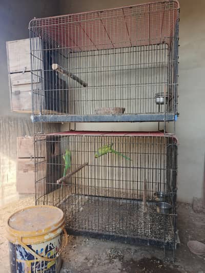 cages and boxes trolly