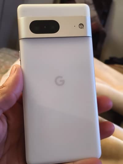 Google Pixel 7 PTA Officially