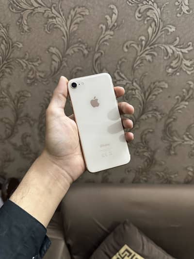 Iphpne 8 64gb pta approved