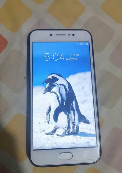 Vivo y66 pta approved