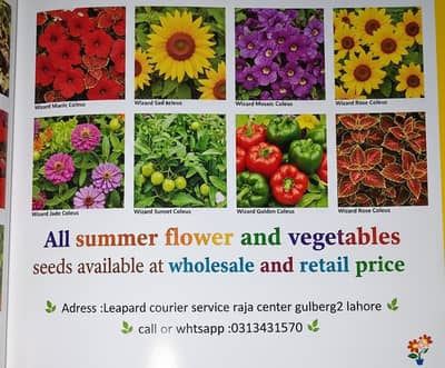 All Summer Flower and Vegetables Seeds available at wholesale price