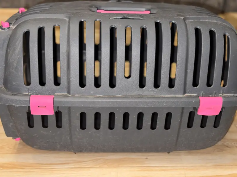 Pet carrier — photo 5
