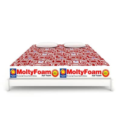 molty foam new