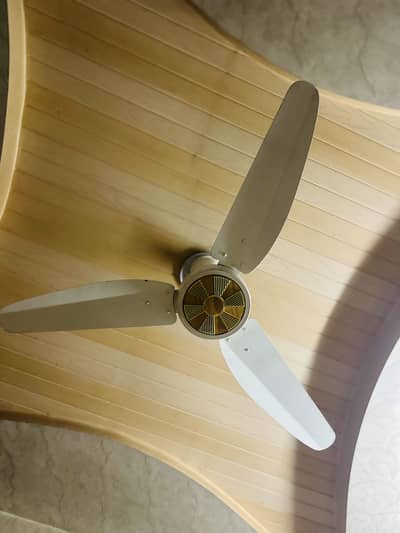 Good condition just capastor dlane wala h