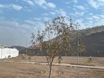 5 Marla Plot For Sale DD Block | Citi Housing Jhelum.