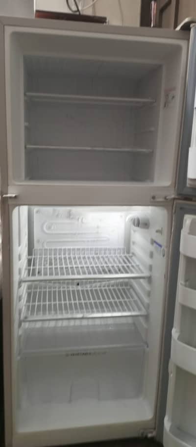 Orient Model OR-260, Purchase 2021