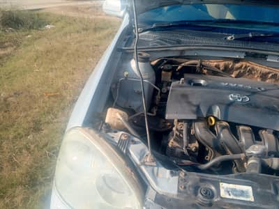 andar se sale tu seal pack=03454617556