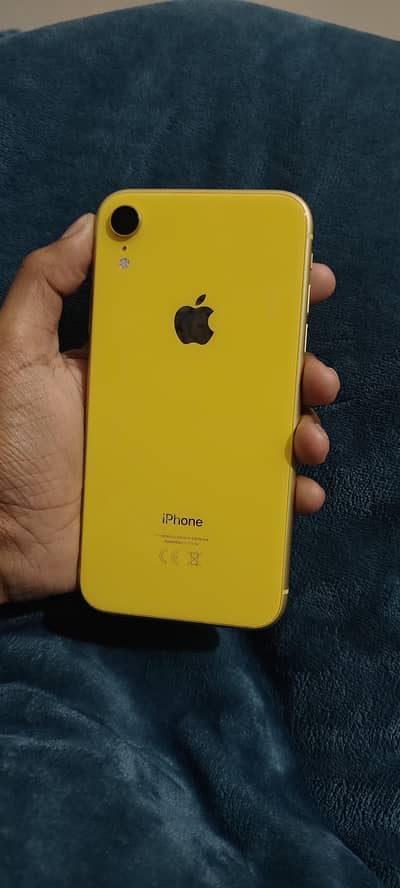iphone XR pta