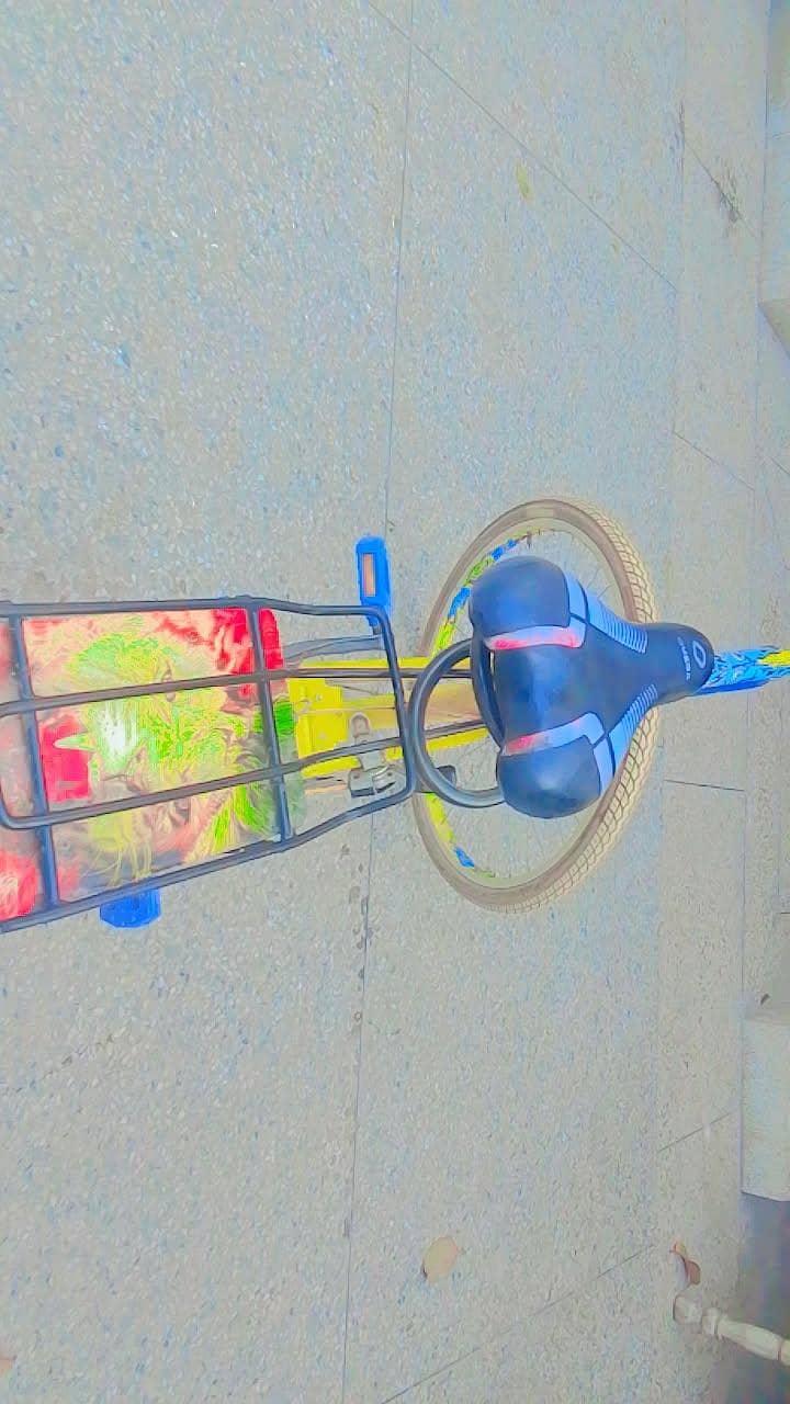 Imported Phonix Cycle* -:-* 5