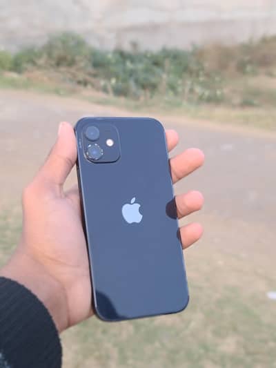 Iphone 12 pta approved