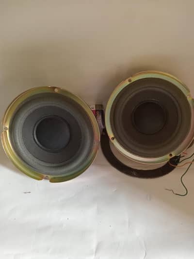 Bose Subwoofers