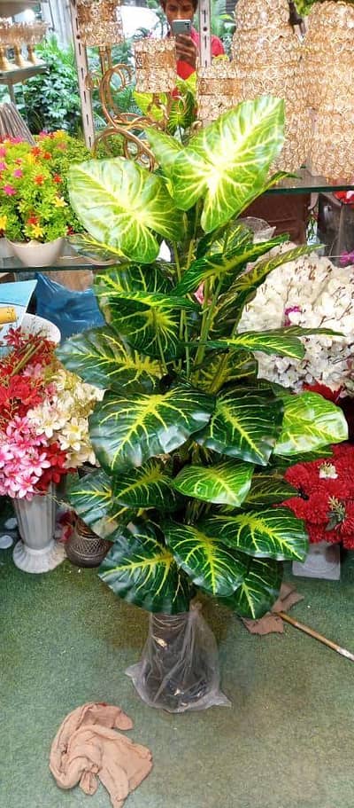 Beautiful Artificial Plant
