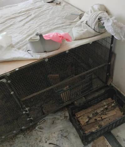 beautiful and strong