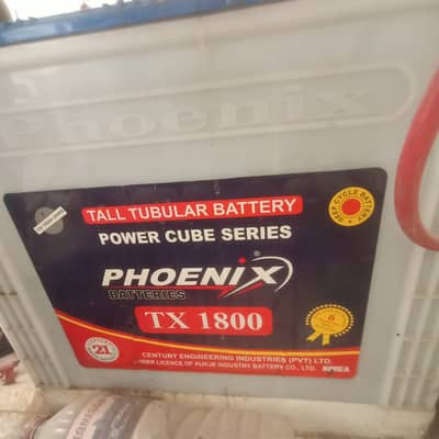 Two Phoniex tubular batteries Used only 6 months full backup 7 hours