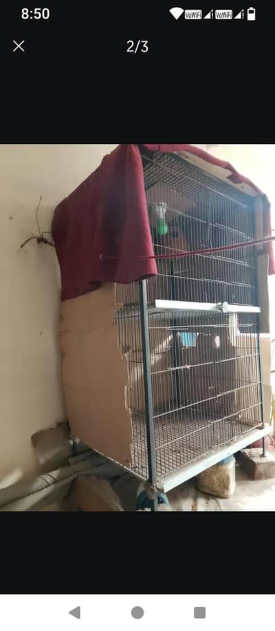 cage for urgent sale