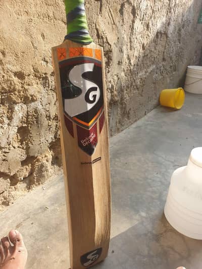 English Willow Hard ball bat