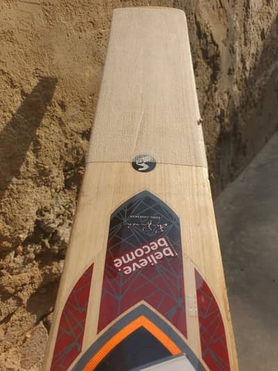 English Willow Hard ball bat