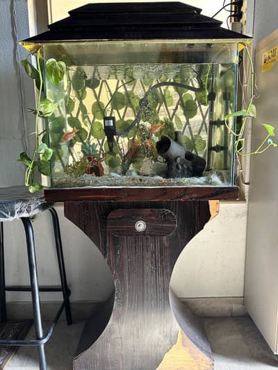 Aquarium with complete setup