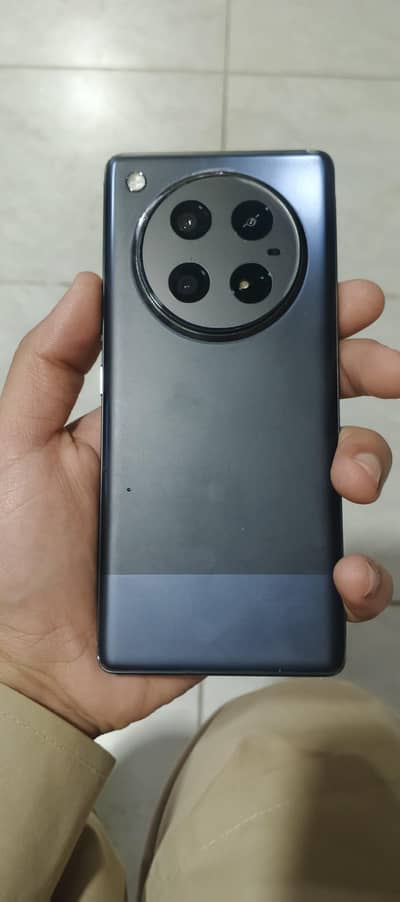 Golden opportunity don't miss