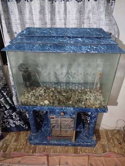 Fish Aquarium