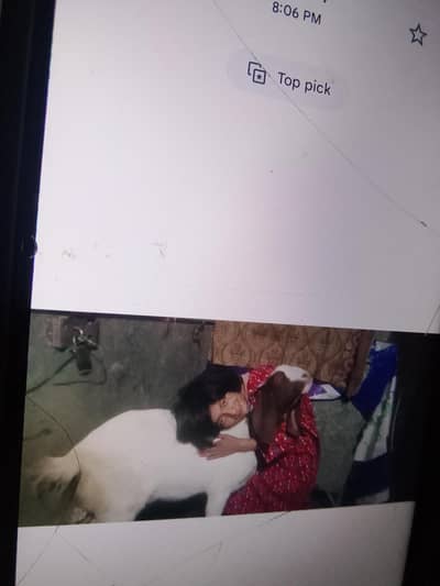 jamilabad chungi number 1 Multan airport road