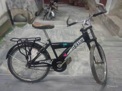 deluxe cycle