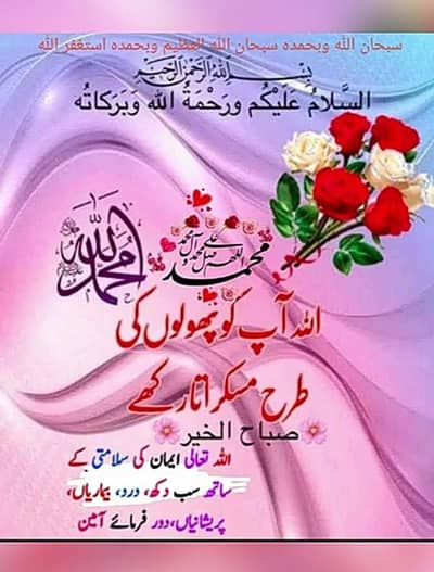 house mentanence boy